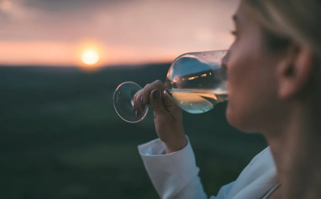 Wine tour in istria is a magical experience